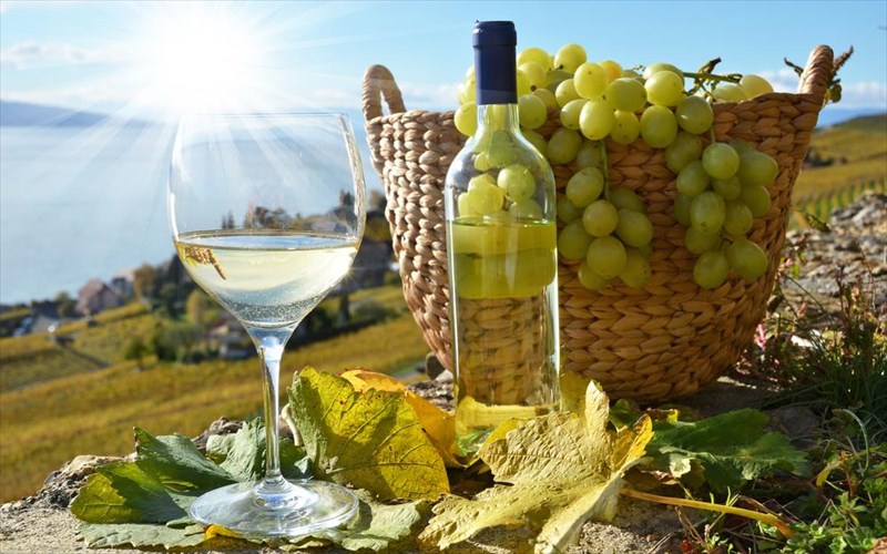 leuko-krasi-mporei-na-sas-xalasei-to-xamogelo