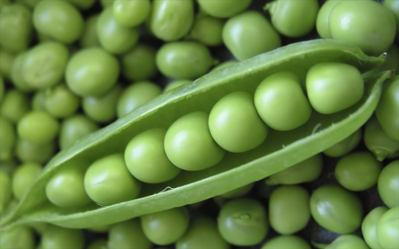 arakas-irthe-i-ora-tou-ora-tou