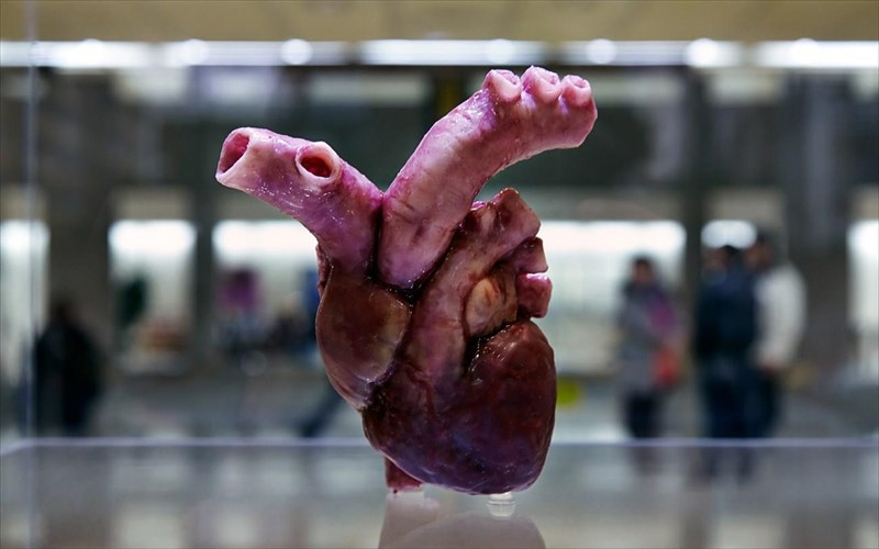 dialeksi-gia-ti-3d-ektuposi-stin-iatriki