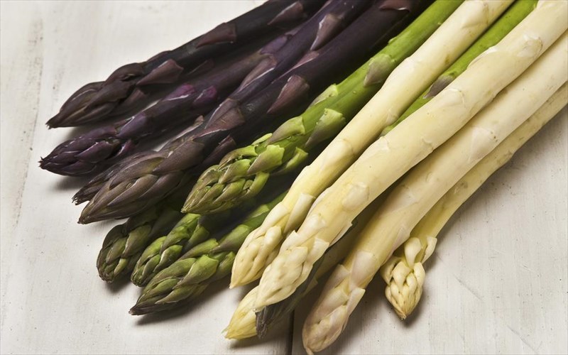 5-logoi-gia-na-katanalonete-perissotera-sparaggia-logoi-gia-na-katanalonete-perissotera-sparaggia