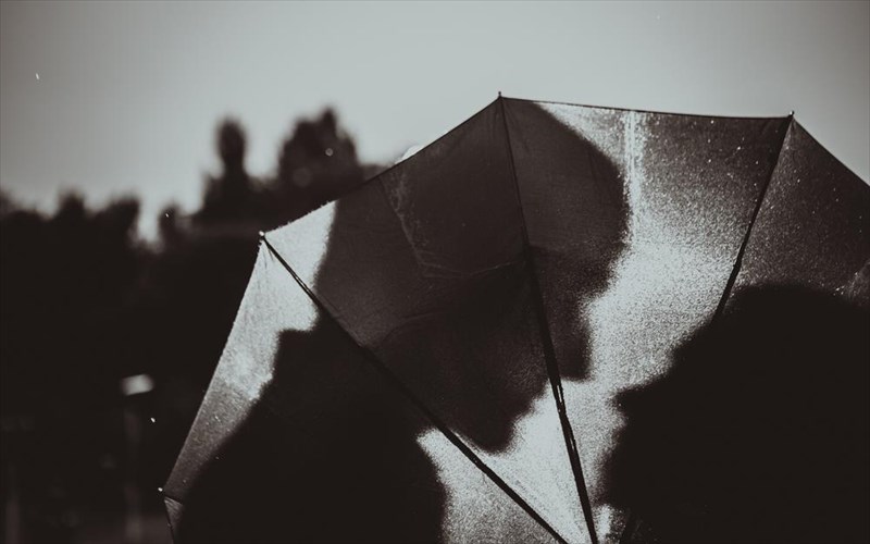 day-sylvia-i-no1-eupoliti-suggrafeas-ton-new-york-times-epistrefei-no1-eupoliti-suggrafeas-ton-new-york-times-epistrefei