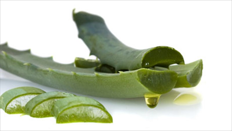 aloi-bera-ena-fusiko-farmako