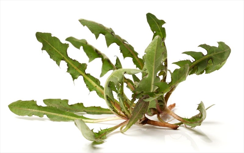 ola-gia-ta-radikia-sti-diatrofi-mas