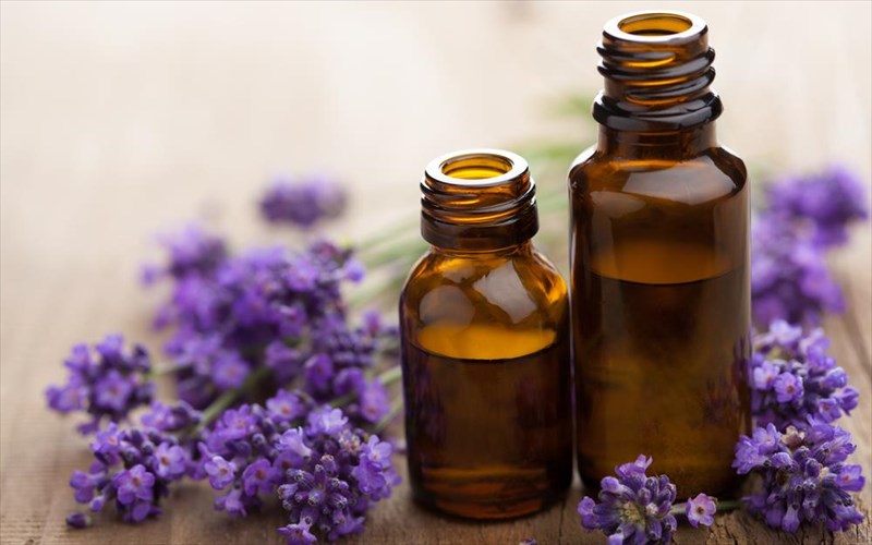 to-therapeutiko-ladi-tis-arnikas