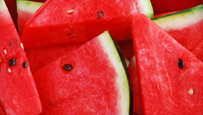 karpouzi-o-protagonistis-tou-kalokairiou-protagonistis-tou-kalokairiou