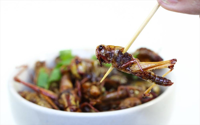 5-piata-pou-duskoleuoun-akomi-kai-tous-giaponezous-piata-pou-duskoleuoun-akomi-kai-tous-giaponezous