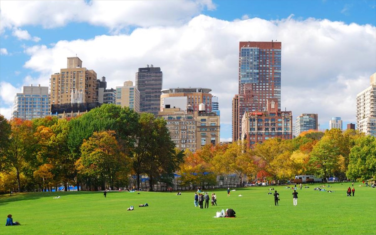 central-park-nea-yorki