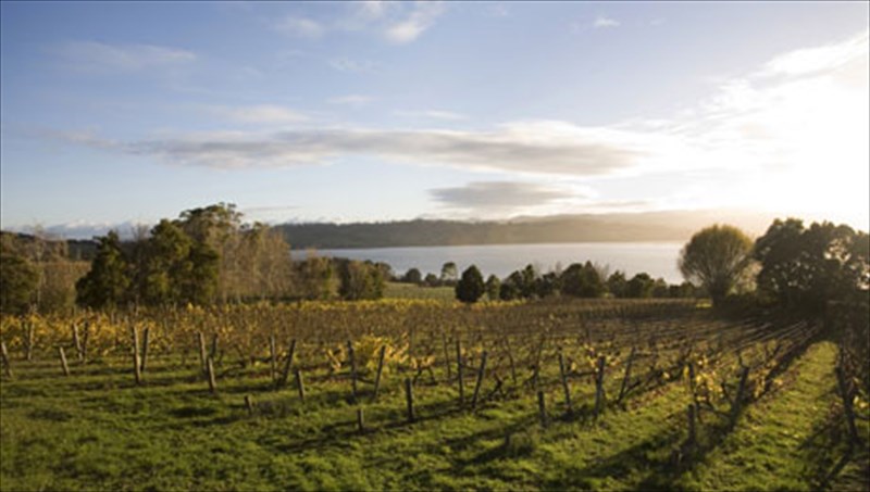 diakopes-gia-sommelier