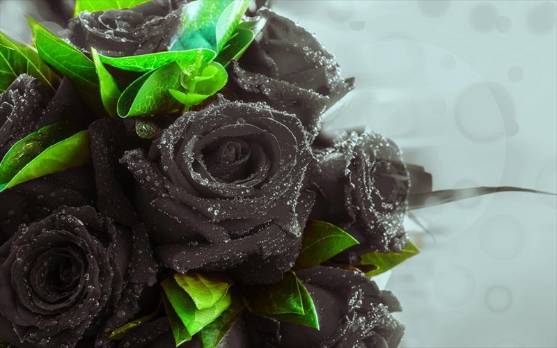 mia-kathilotiki-istoria-agapis-gemati-agnotita