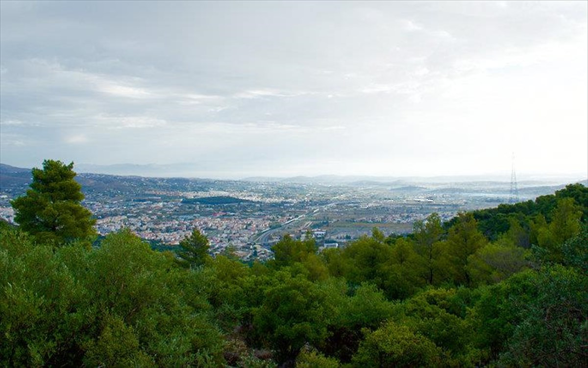 umittos-ktima-basileiou