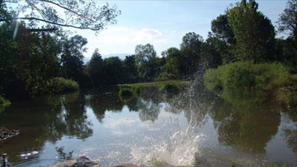 ergostasio-river-party-me-fonto-ti-fusi