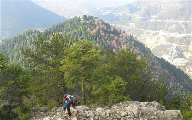 oreino-treksimo-krasi-kai-geuseis-etoimazontai-sto-metsobo