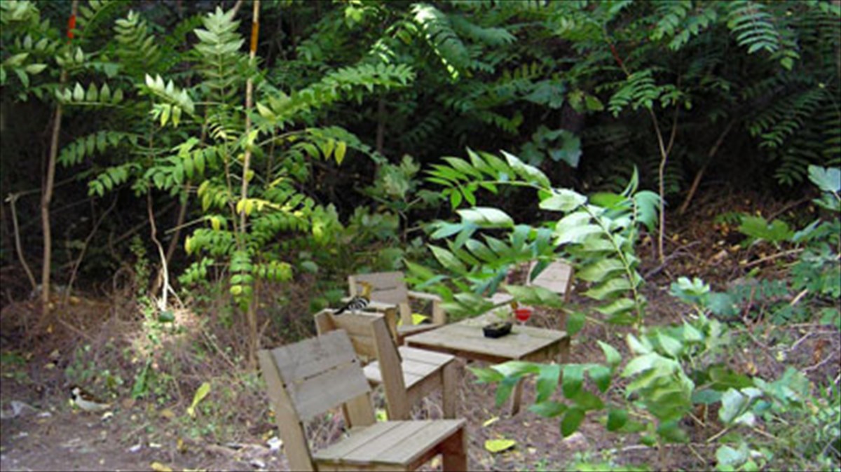 oi-10-kaluteres-aules-tis-attikis-gia-ena-poto-se-prasino-fonto