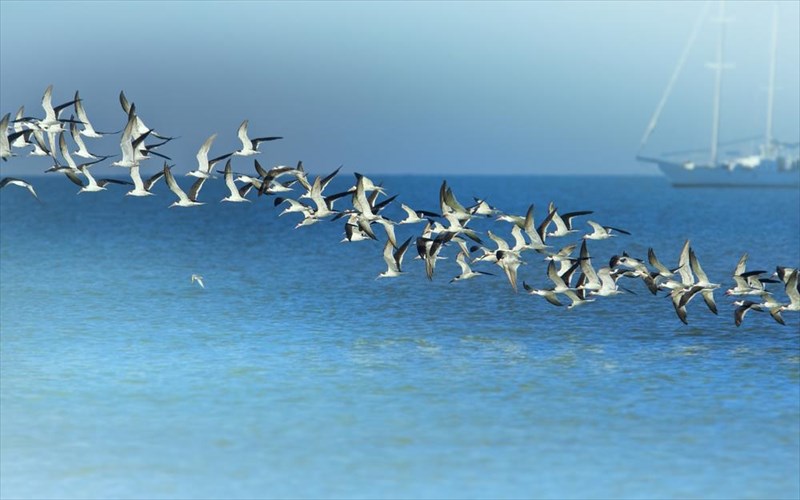 i-istoria-enos-paratairou-erota