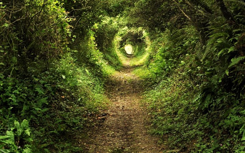 week-review-apo-to-clickatlifegr