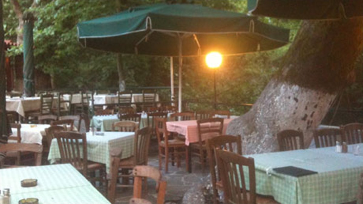 kissos-authentiki-elliniki-kouzina-se-prasino-fonto