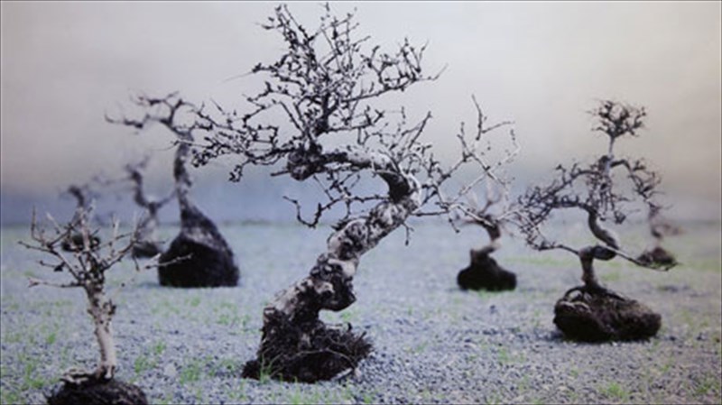 o-xronos-protagonistei-se-mia-ekthesi-gemati-anamniseis