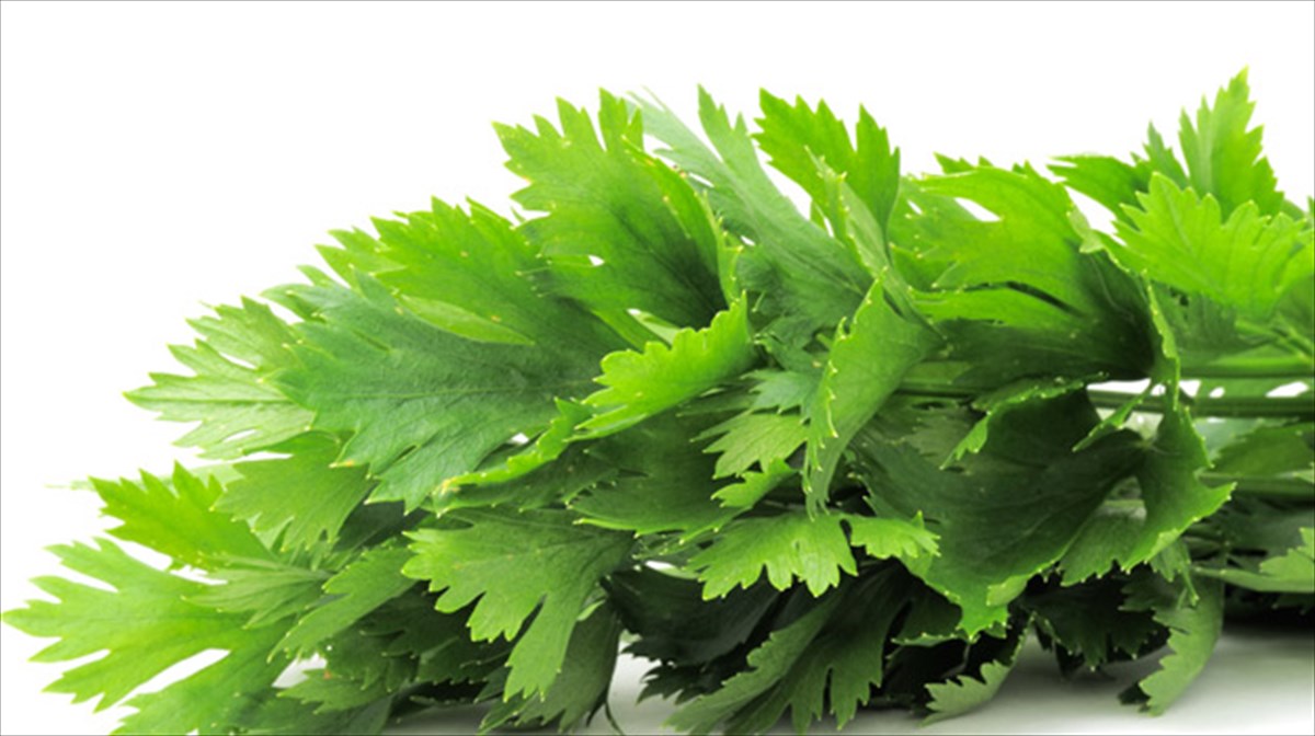 ti-gnorizete-gia-tin-apigenini