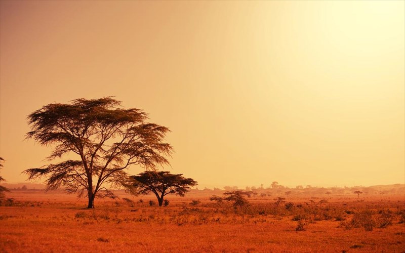 12-pragmata-pou-den-gnorizate-gia-tin-afriki