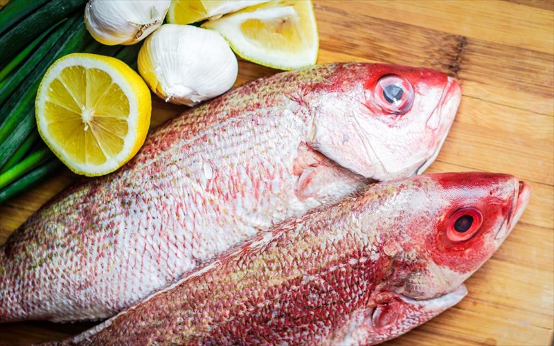 suntages-me-liga-ulika-gia-gkourme-nostima-geumata