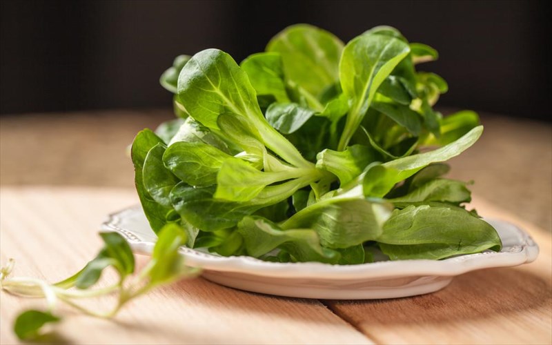 exete-dokimasei-lukotribolo