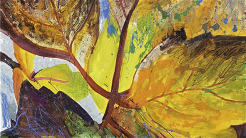 poluxromi-zografiki-fthinoporini-sumfonia-stin-kardia-tis-kifisias