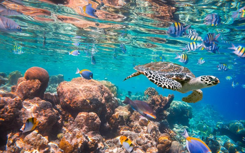 pou-prepei-oposdipote-na-taksidepsete-mexri-ta-40