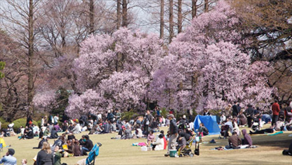 kathe-taksidi-ston-kairo-tou