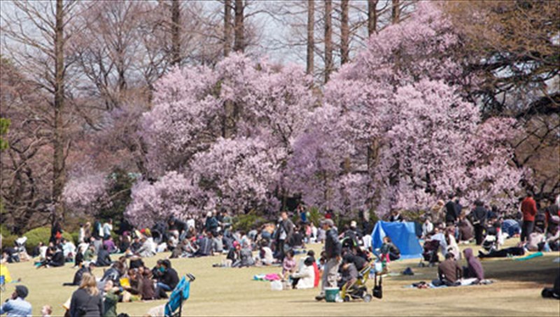 kathe-taksidi-ston-kairo-tou