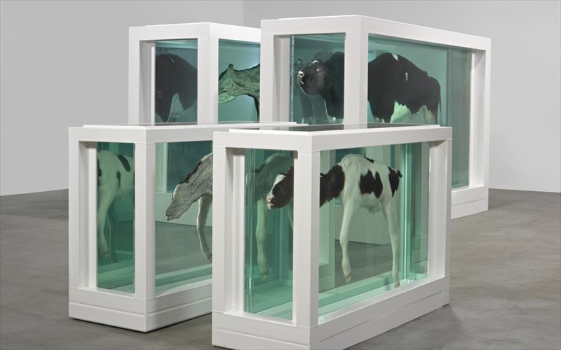 5-erga-texnis-pou-sokaran-tin-koini-gnomi-erga-texnis-pou-sokaran-tin-koini-gnomi