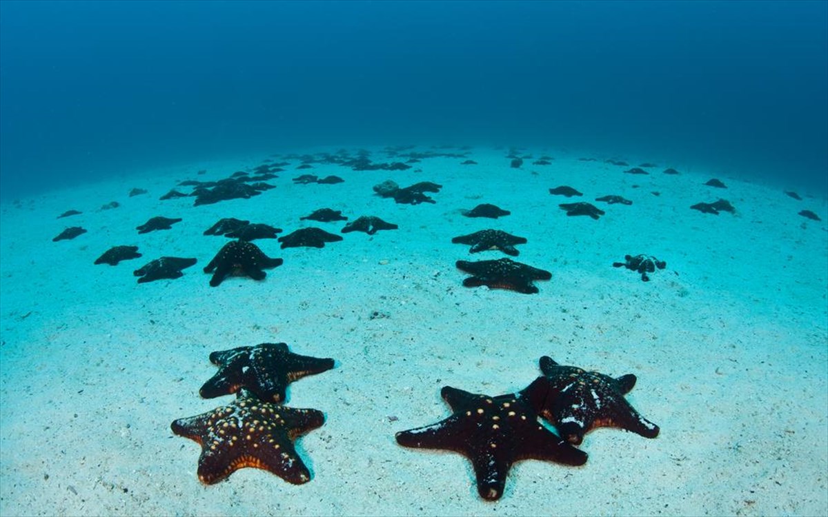 cocos-island-kosta-rika