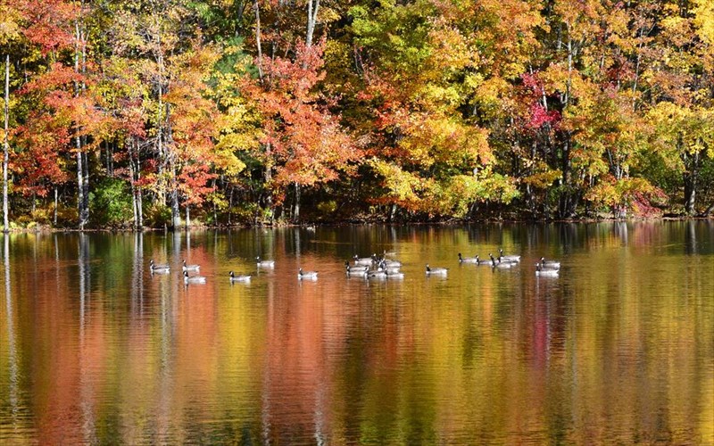ta-kalutera-meri-tis-europis-gia-na-apolausete-ta-xromata-tou-fthinoporou
