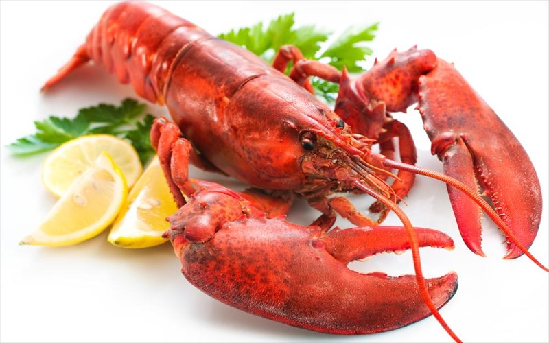 brethike-95xronos-astakos-pou-glitose-to-mageirema