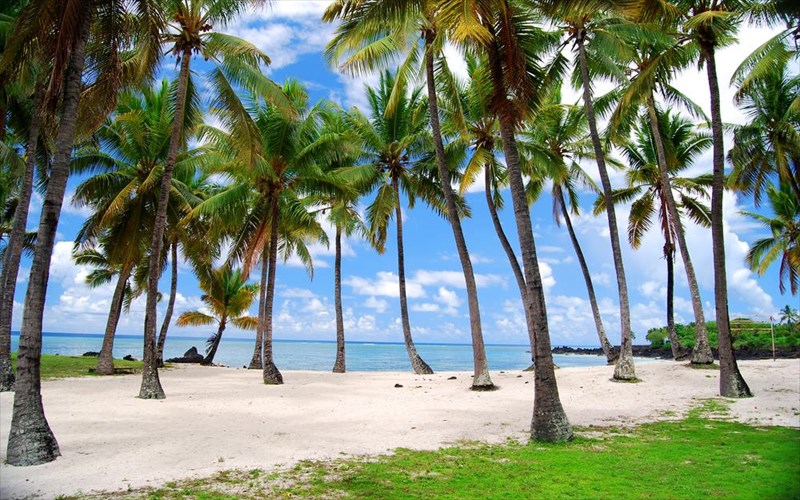 taksidi-stis-mustikes-xores-tou-kosmou