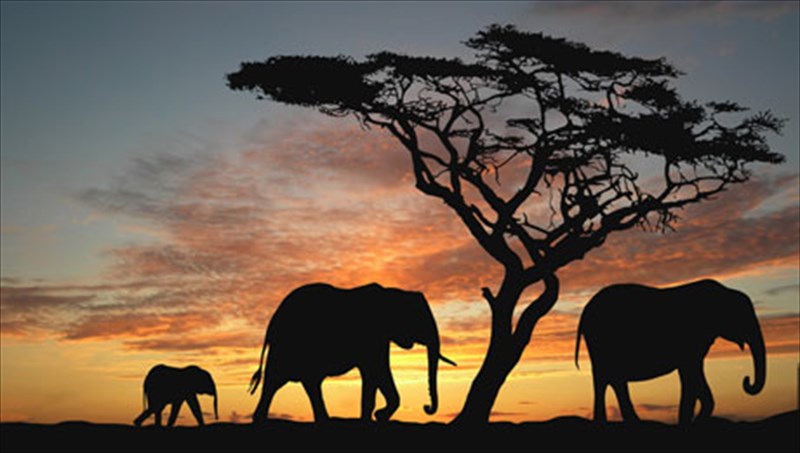 oi-10-korufaioi-afrikanikoi-proorismoi