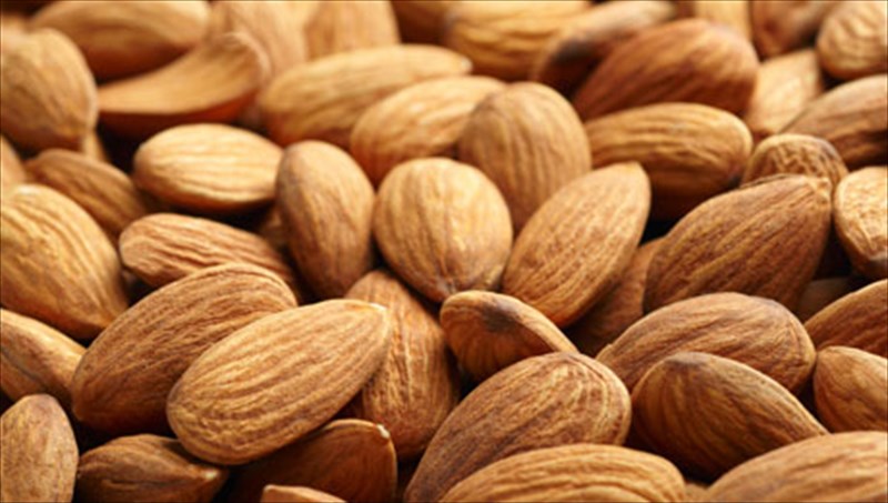 me-poies-trofes-tha-apoktisoume-koilia-sanida