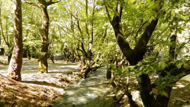 ta-kalabruta-den-einai-mono-xioni