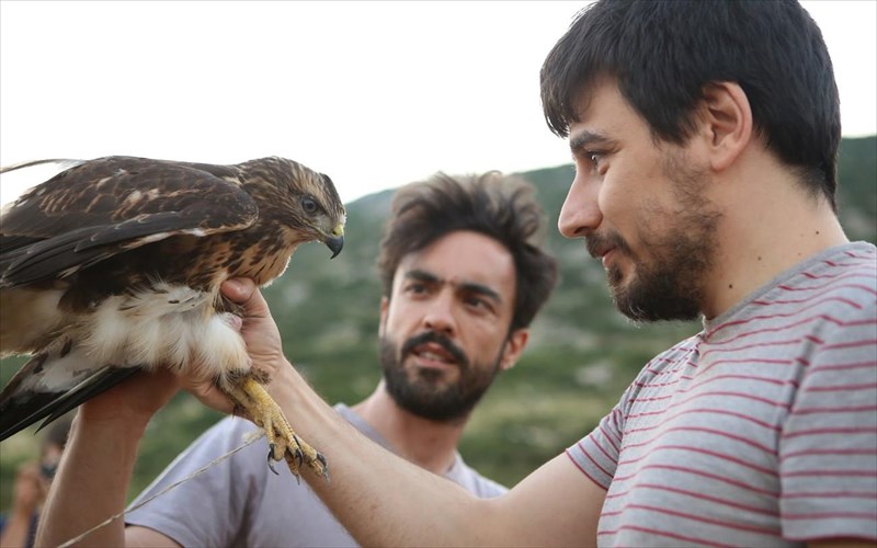 ta-psila-bouna-tou-zaxaria-papantoniou-stin-paidiki-skini-tou-akropol