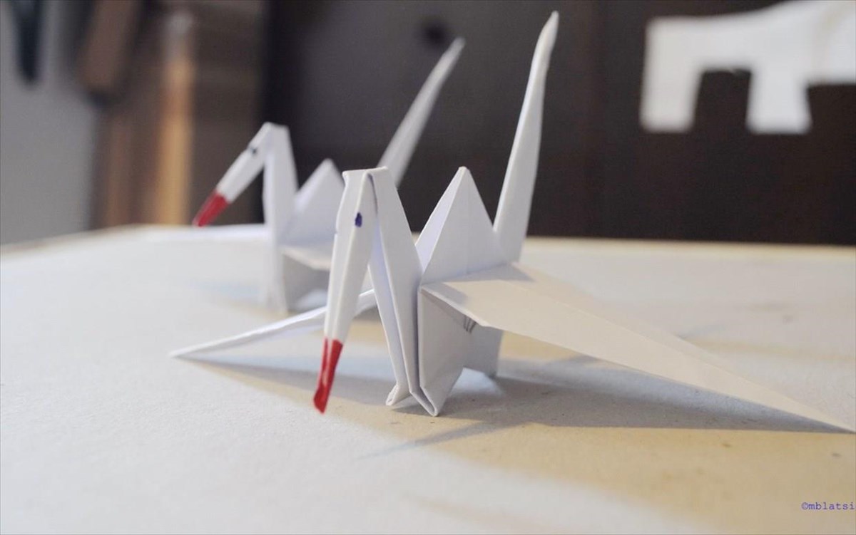 ixografizontas-megaro-2