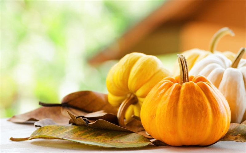 6-simantika-ofeli-tis-kolokuthas-simantika-ofeli-tis-kolokuthas