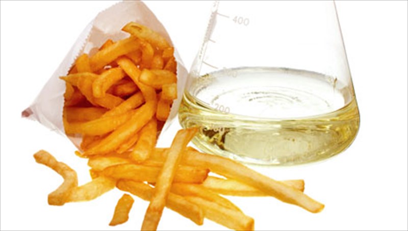 trans-lipara-oksea-oi-10-trofes-pou-prepei-na-apofeugete