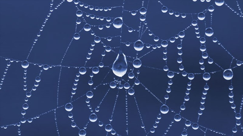 o-anthropos-araxni-se-3d-peripeteia