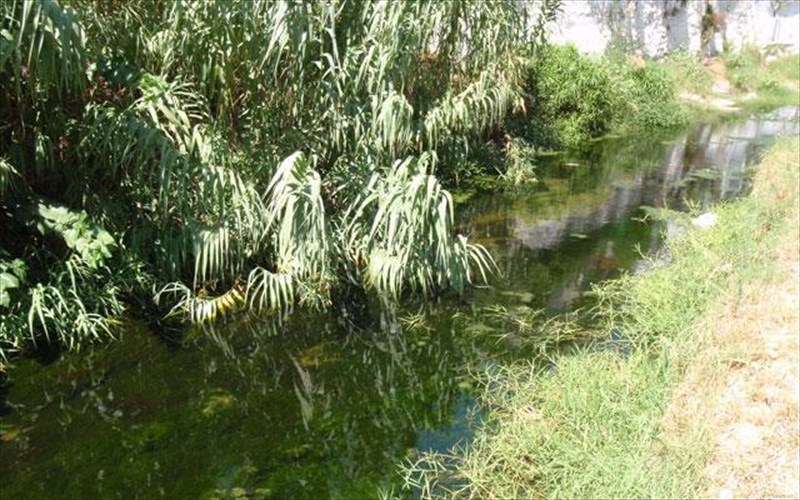 kuriakatiki-pezoporia-sto-rema-tis-pikrodafnis