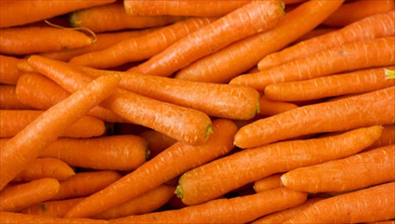 trofes-gia-ta-matia-sas-mono