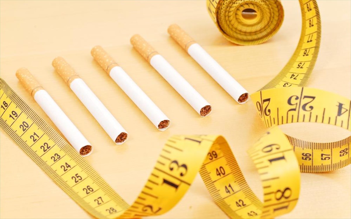 tsigaro-mezoura-diatrofi