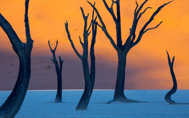 pseutika-i-alithina-ta-parakato-meri-tha-sas-ekpliksoun-alithina-ta-parakato-meri-tha-sas-ekpliksoun