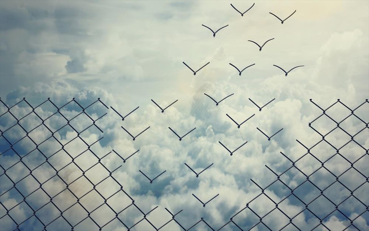 poulia-i-dunami-tou-ti-dunami-tou-ti