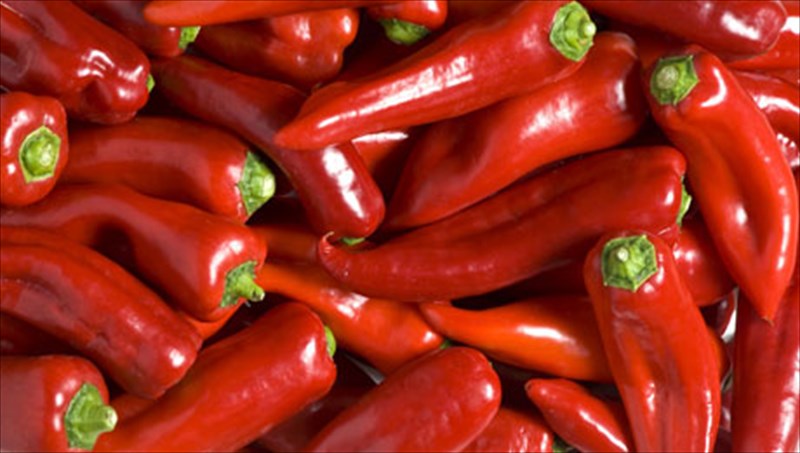 oi-11-trofes-pou-tha-dosoun-othisi-sto-metabolismo-sas