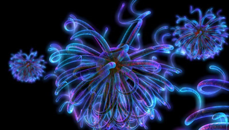 festibal-epistimonikon-tainion-me-eleutheri-eisodo-gia-to-koino