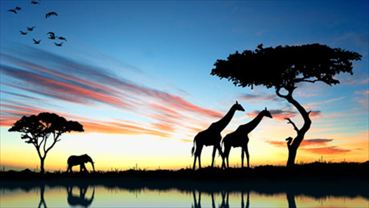 tsinoua-atsempe-foni-diamarturias-apo-tin-afriki-foni-diamarturias-apo-tin-afriki